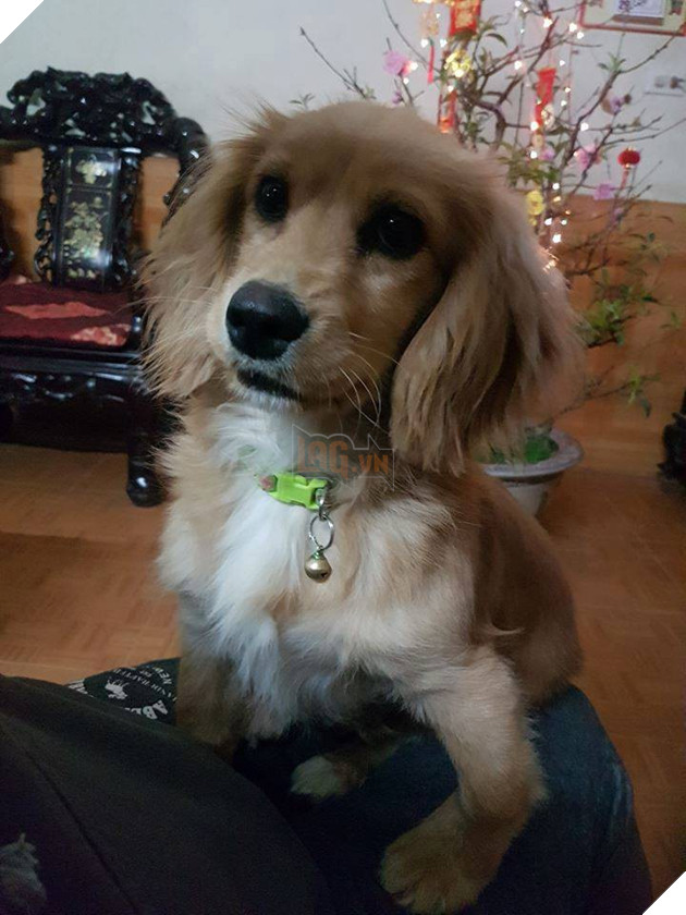 Khi chân vòng kiềng lên ngôi phá đảo thế giới ảo…nhầm thế giới chân thẳng chứ nhỉ 5