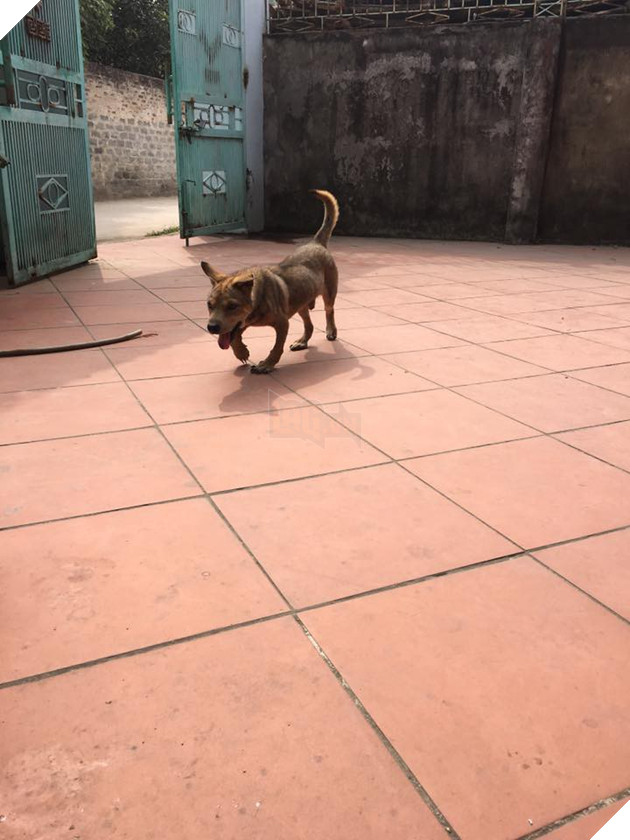 Khi chân vòng kiềng lên ngôi phá đảo thế giới ảo…nhầm thế giới chân thẳng chứ nhỉ 6