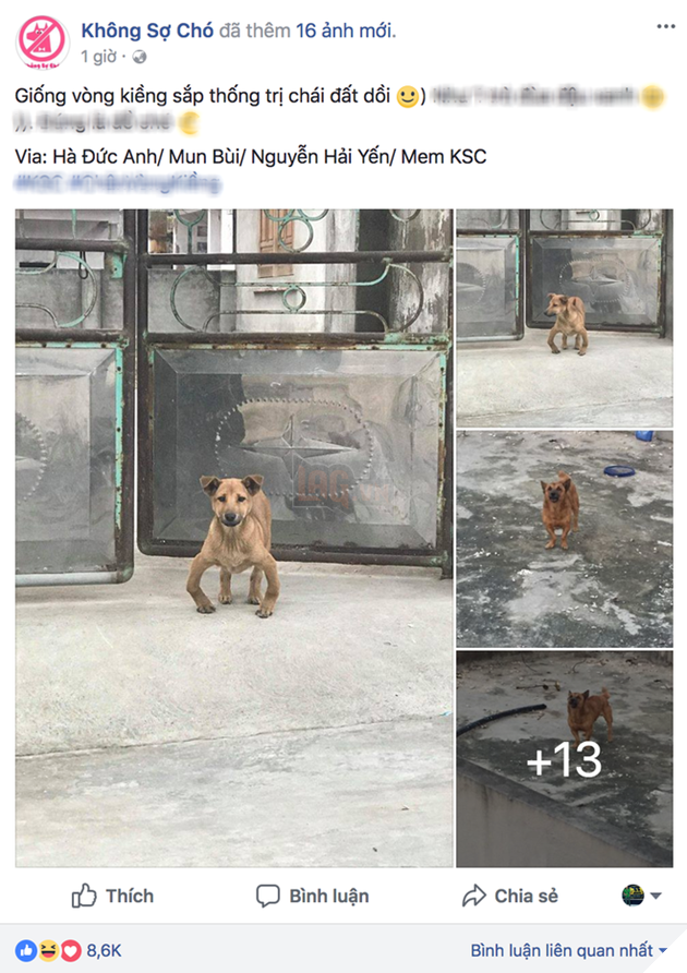 Khi chân vòng kiềng lên ngôi phá đảo thế giới ảo…nhầm thế giới chân thẳng chứ nhỉ