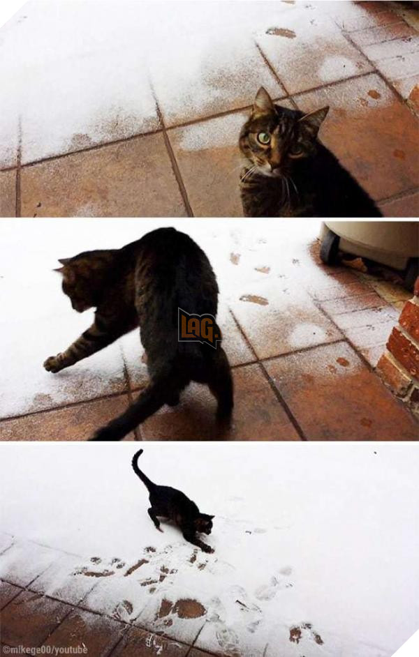 36 sophie s first time seeing snow