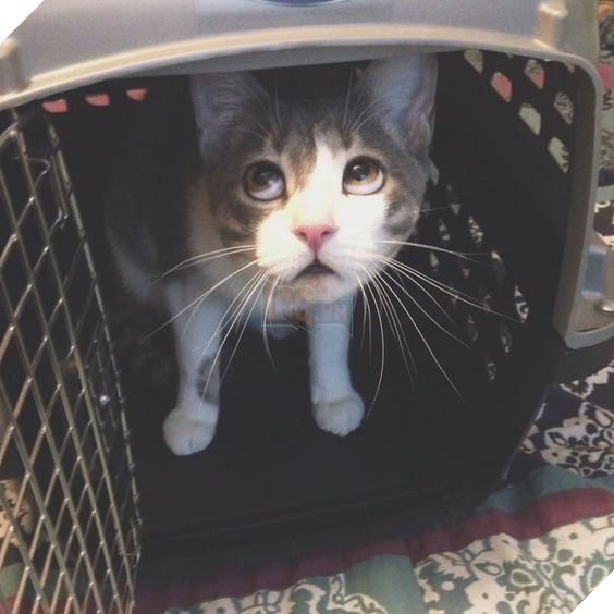 655097c055c2b964074991e38b57a1f1