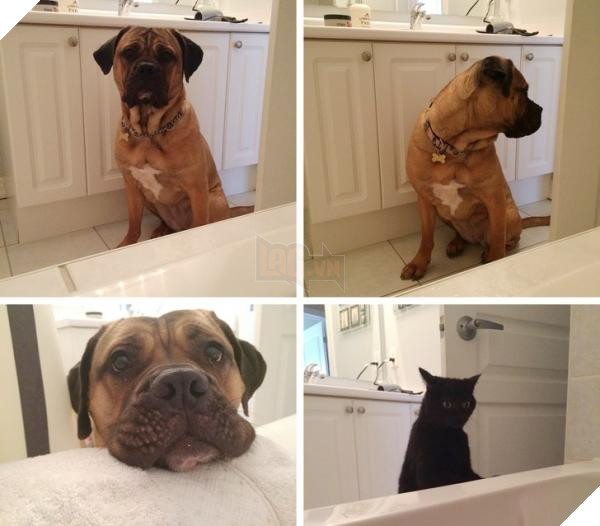 7955860 21325510 1112101 0 1543566686 1543566698 1500 1 1543566698 728 9a84faf9f0 1543809312