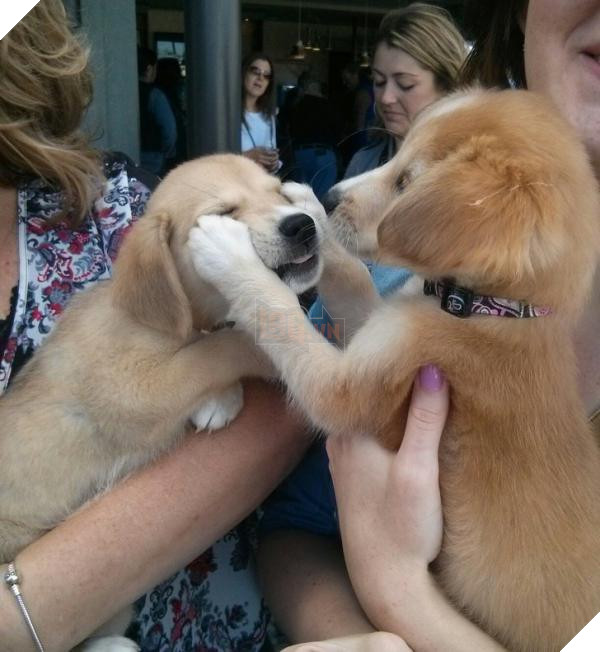 7956810 image crop 1224x1331 1543472578 728 5b9cd0c87f 1543809312