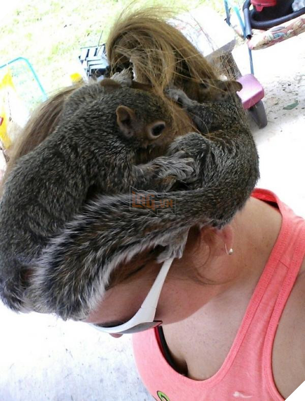 7957010 image crop 1042x1371 1543472346 728 dda2e6743c 1543809312