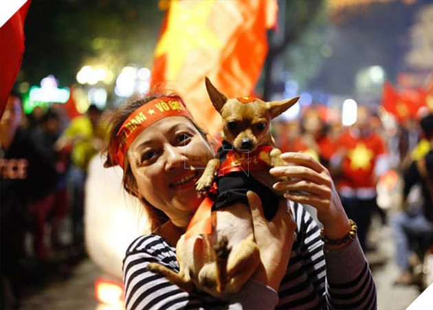 Thú cưng mặc áo cờ ‘đi bão’ ăn mừng chiến thắng AFF cup của ĐTQG Việt Nam 9