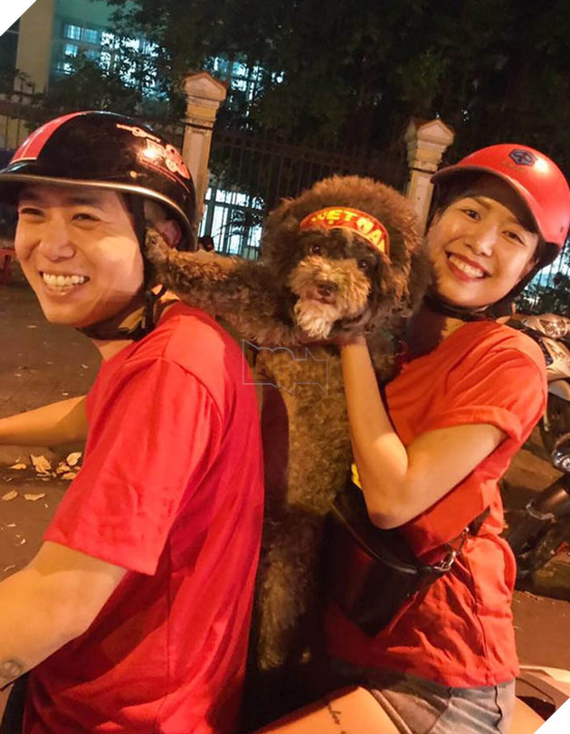 Thú cưng mặc áo cờ ‘đi bão’ ăn mừng chiến thắng AFF cup của ĐTQG Việt Nam 13