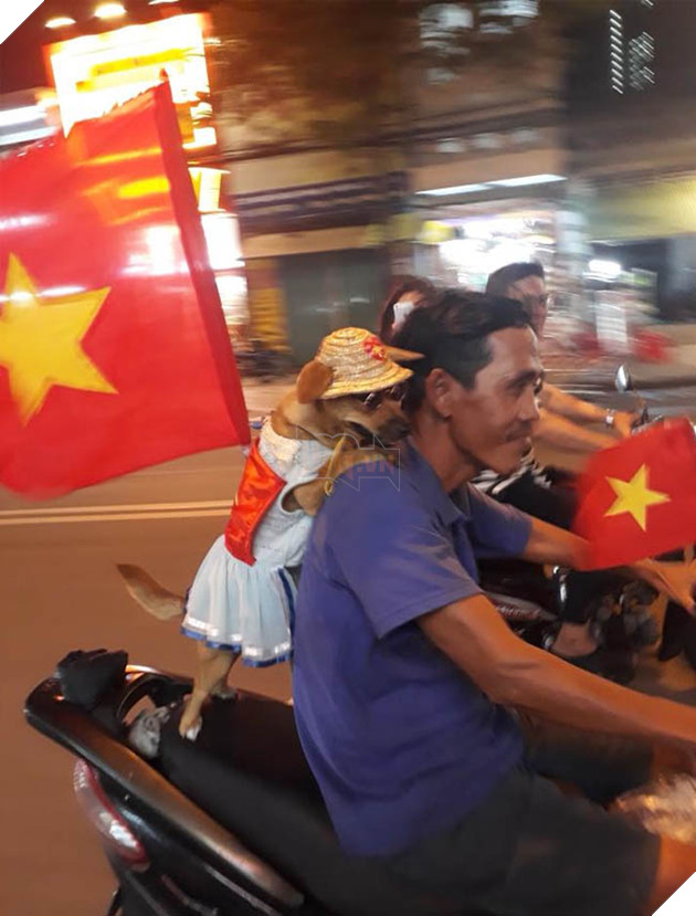 Thú cưng mặc áo cờ ‘đi bão’ ăn mừng chiến thắng AFF cup của ĐTQG Việt Nam 21