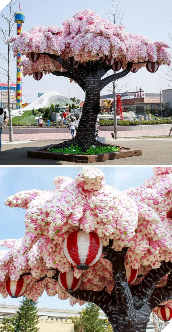 mo hinh lego sakura chi co o nhat ban