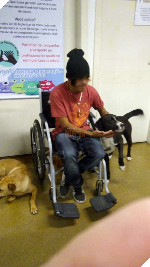 Hình ảnh cảm động: Người đàn ông vô gia cư nhập viện, 4 chú chó hoang đứng mong chờ ngoài cửa - Ảnh 4.