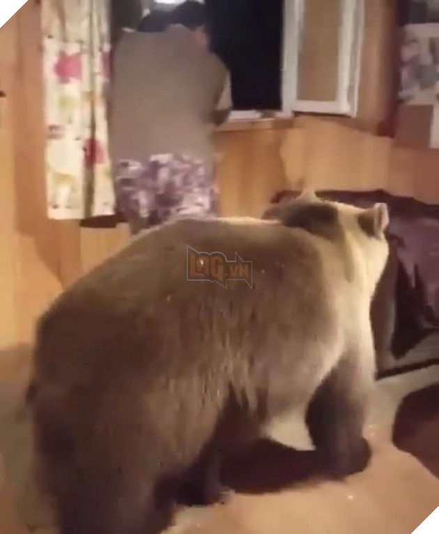 Chàng trai của năm: Chỉ cần đứng yên trong nhà là 'gấu' tự tìm tới, Giáng sinh ấm rồi nhé!