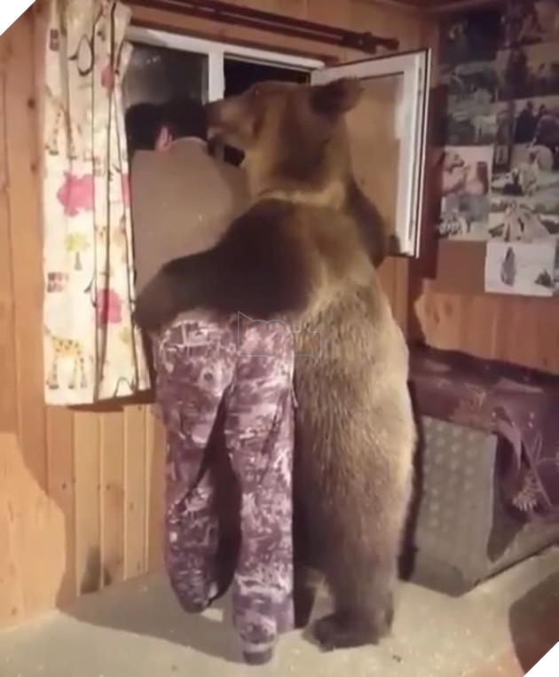 
Có "gấu" ôm thế này thì mùa Giáng sinh năm nay còn lạnh lẽo gì nữa.