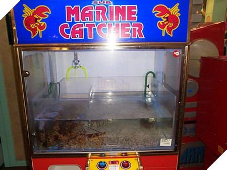 [Vui] Những cỗ máy bán hàng tự động kỳ quặc đến từ Nhật Bản - Ảnh 13.