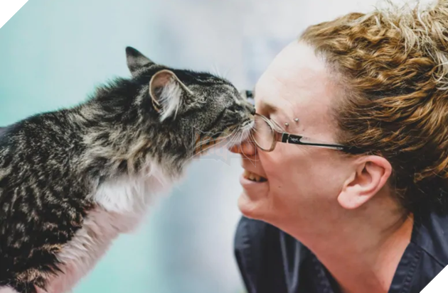 Câu chuyện chú mèo đi hoang hơn 1200km rồi trở về nhà theo cách quá bất ngờ lan truyền mạnh trên MXH - Ảnh 2.