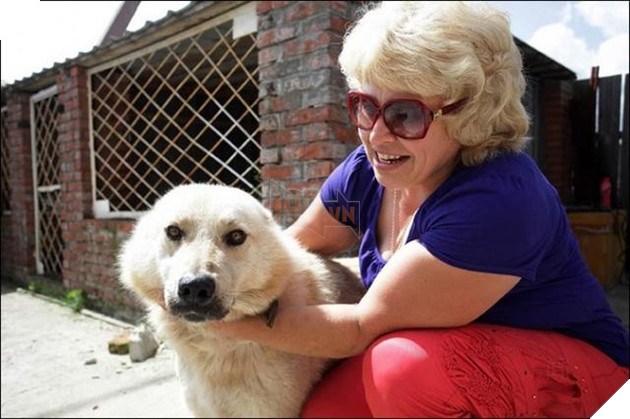 Cảnh tượng không ngờ của gia đình khi đi tránh nạn nhớ ra không thấy cún đâu quay lại nhà để tìm 2