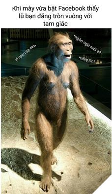 Tổng hợp meme người tối cổ - meme dành riêng cho những người hóng phốt mà quá chậm trễ 7