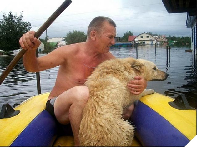 Cảnh tượng không ngờ của gia đình khi đi tránh nạn nhớ ra không thấy cún đâu quay lại nhà để tìm 5