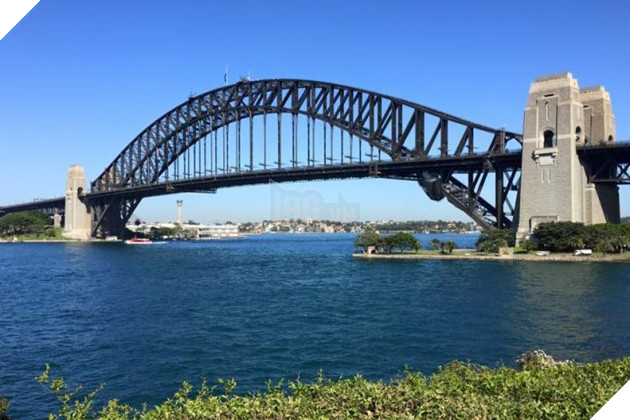 Câu chuyện về 2 chú mèo trắng từng bá chủ trên cầu cảng Sydney hơn 50 năm trước - Ảnh 1.