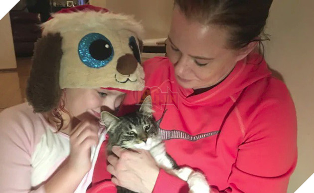 Câu chuyện chú mèo đi hoang hơn 1200km rồi trở về nhà theo cách quá bất ngờ lan truyền mạnh trên MXH - Ảnh 3.