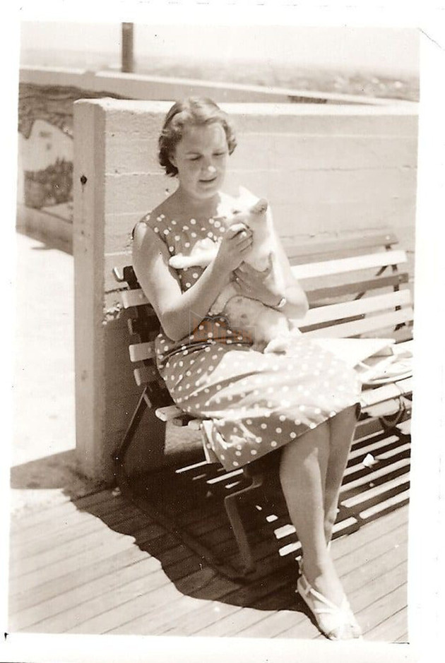 C&#226;u chuyện về 2 ch&#250; m&#232;o trắng từng b&#225; chủ tr&#234;n cầu cảng Sydney hơn 50 năm trước - Ảnh 3.