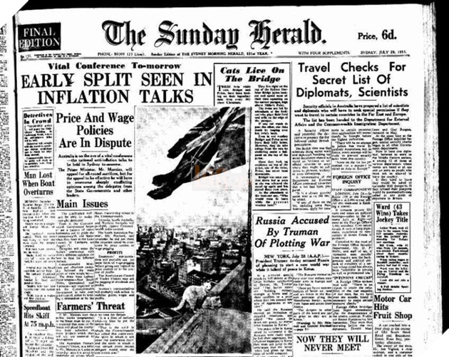 C&#226;u chuyện về 2 ch&#250; m&#232;o trắng từng b&#225; chủ tr&#234;n cầu cảng Sydney hơn 50 năm trước - Ảnh 4.