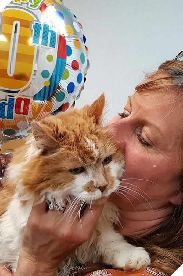 worlds oldest cat rubble 30th birthday michele heritage britain 5 5b15209598cc9 700 1