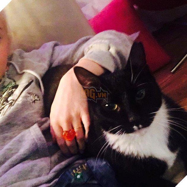 Miley Cyrus đặt tên mới cho Liam sau khi anh cứu được 7 con chó, 4 con ngựa, 2 con lợn và 3 con mèo 5