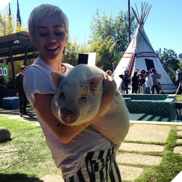 Miley Cyrus đặt tên mới cho Liam sau khi anh cứu được 7 con chó, 4 con ngựa, 2 con lợn và 3 con mèo 3
