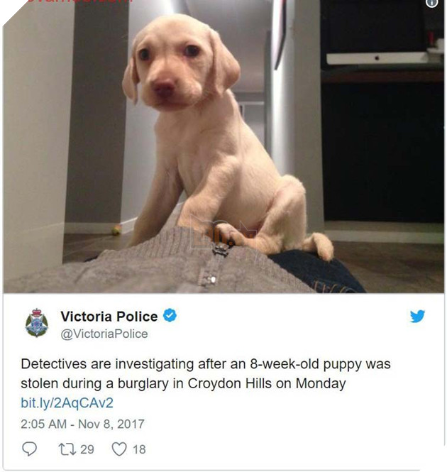 Cảm động trước bé gái 4 tuổi, tên trộm đã trả lại thứ giá trị nhất cho gia đình