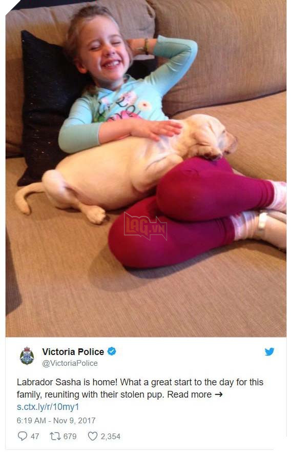 Cảm động trước bé gái 4 tuổi, tên trộm đã trả lại thứ giá trị nhất cho gia đình 2