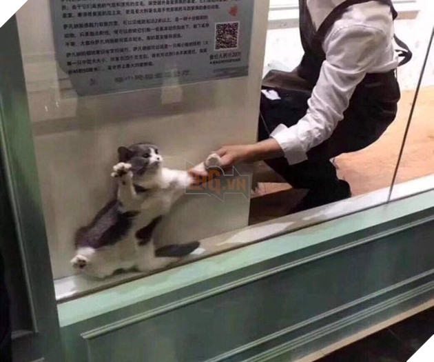 
Ở đây vui lắm, không ra ngoài đâu.