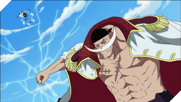 One Piece: 10 năng lực Trái ác quỷ đặc biệt và kỳ lạ sẽ khiến sức ...
