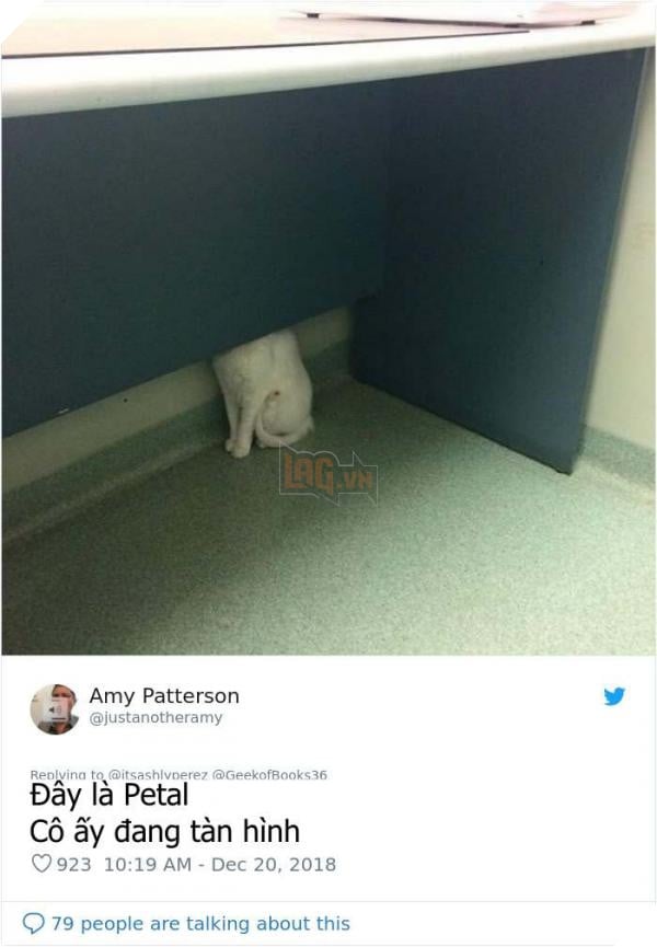 1075697239522041856 1 png 700