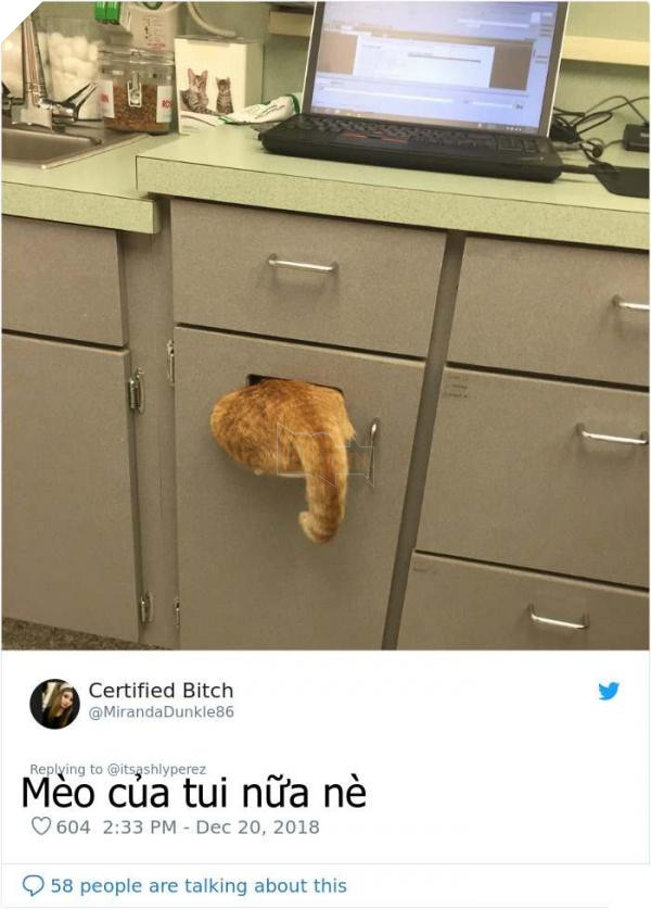 1075761143954718720 1 png 700