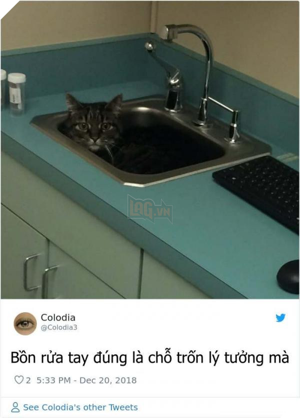 1075806458544046080 1 png 700