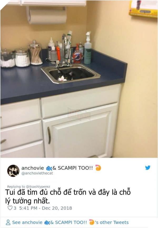 1075808400162734081 1 png 700