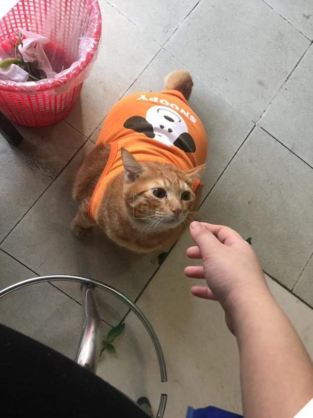 Du 8kg roi van doi an, nung ninh the nay qua tet thi bao nhieu can day ha u 5 Dù 8kg rồi vẫn đòi ăn, núng nính thế này qua tết thì bao nhiêu cân đây hả ú 5