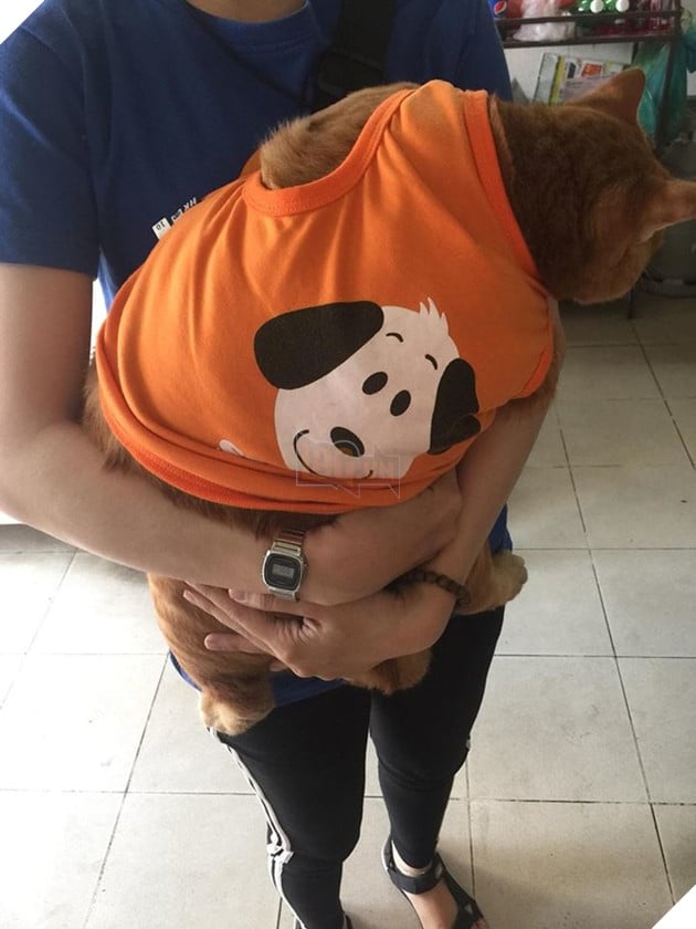 Du 8kg roi van doi an, nung ninh the nay qua tet thi bao nhieu can day ha u 6 Dù 8kg rồi vẫn đòi ăn, núng nính thế này qua tết thì bao nhiêu cân đây hả ú 6