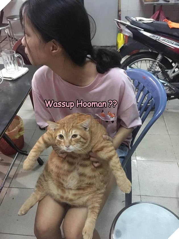 Du 8kg roi van doi an, nung ninh the nay qua tet thi bao nhieu can day ha u 4 Dù 8kg rồi vẫn đòi ăn, núng nính thế này qua tết thì bao nhiêu cân đây hả ú 4
