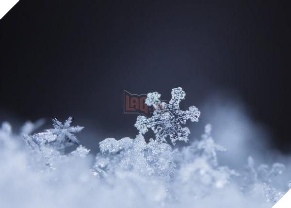 pretty snowflake 2 610x436