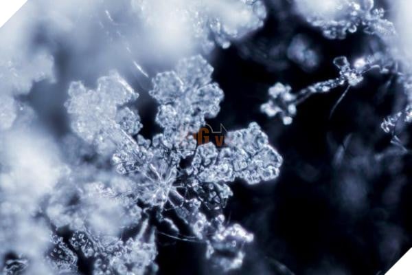 pretty snowflake 610x407