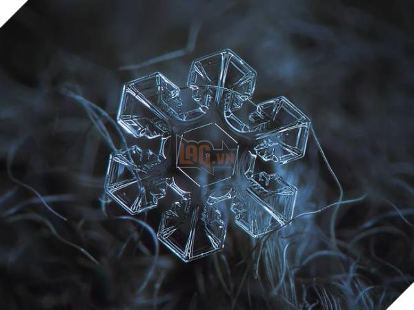 snow1 jpg 650x0 q70 crop smart