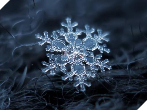 snow12 jpg 650x0 q70 crop smart