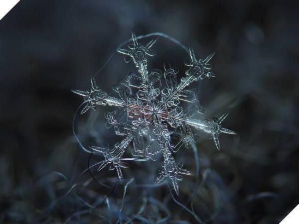 snow2 jpg 650x0 q70 crop smart