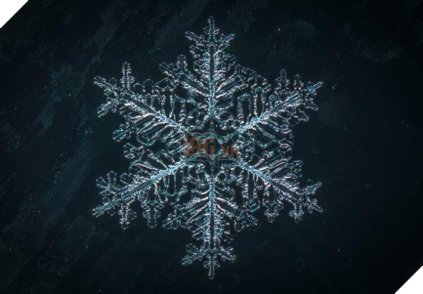 snowflake 4 610x424