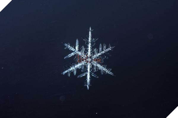 snowflake a 610x407