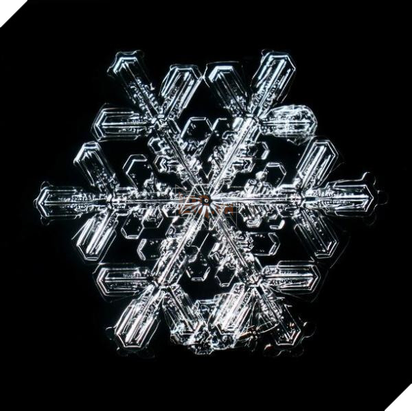 snowflake c 610x609
