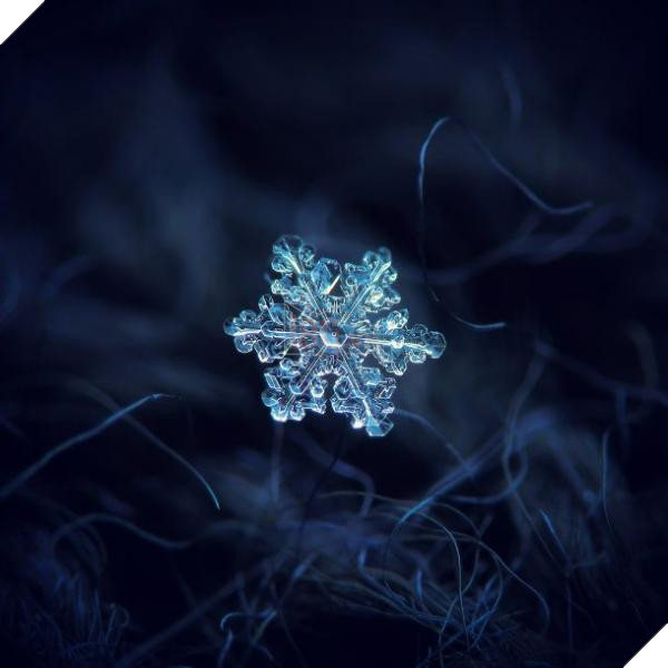 snowflake i 610x610