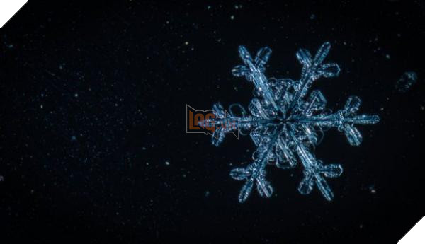snowflake on black 610x351