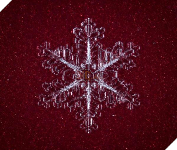 snowflake red background 610x517