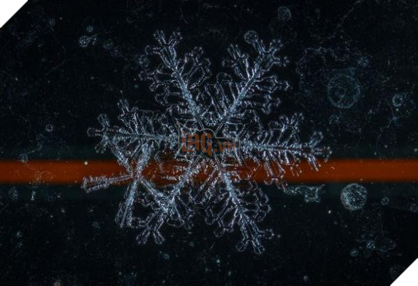 snowflake red line 610x418